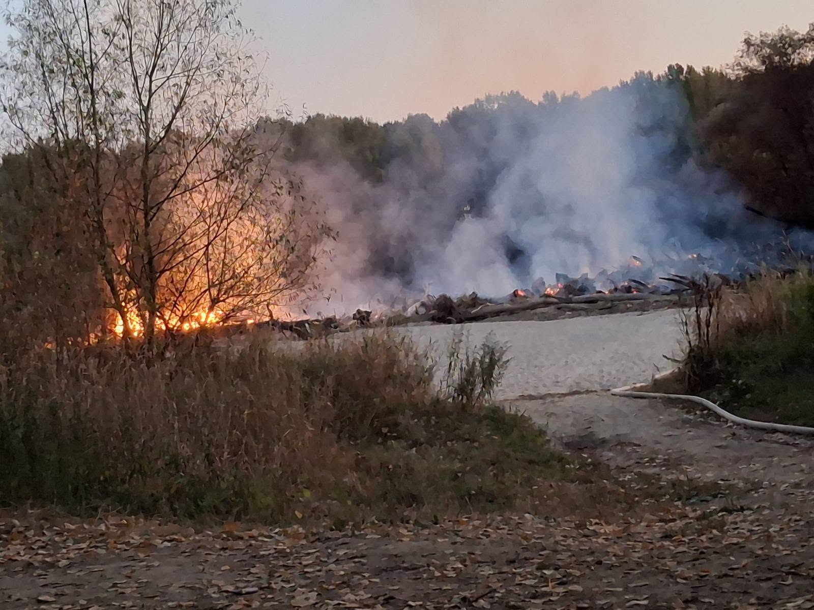 Požar naplavljenog drveća na kupalištu Nova Drava u Donjem Miholjcu